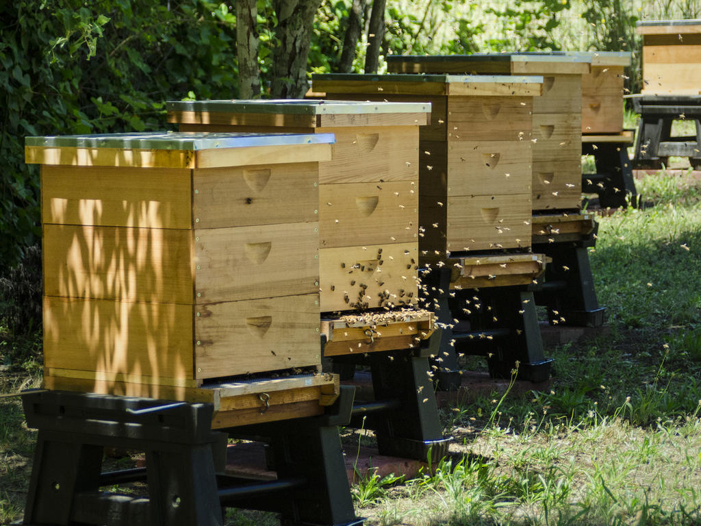 Applewood Inn Guerneville Ngoại thất bức ảnh